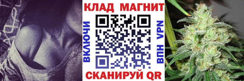 Купить наркотик аптеки Моршанск Галлюциногенные грибы  APVP  Codein  Кокаин  Марихуана  Гашиш 