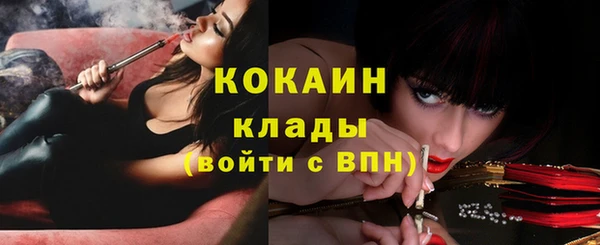 соль ск Вязьма