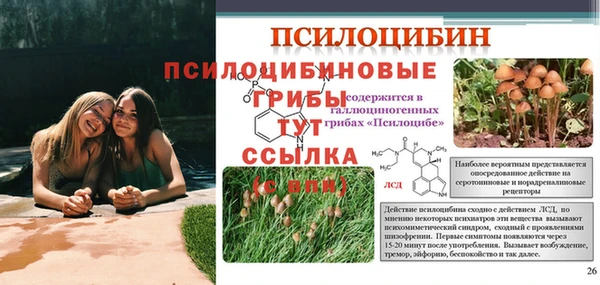 2c-b Вяземский