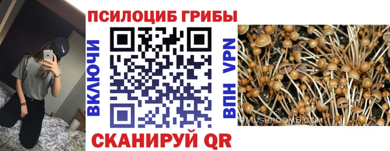Галлюциногенные грибы ЛСД Моршанск