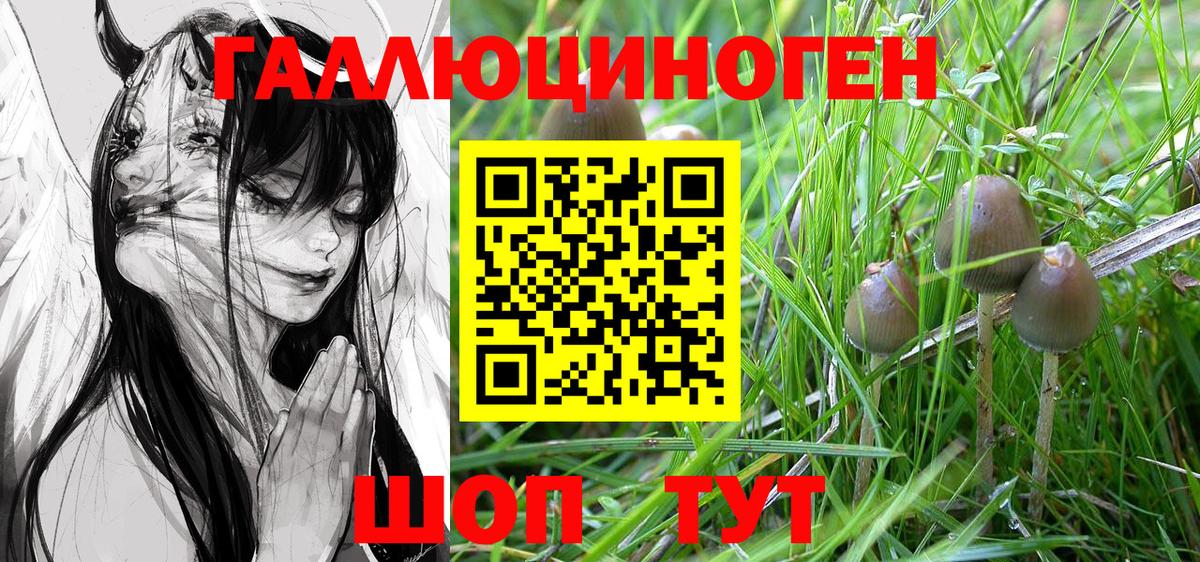 где найти   Вход с VPN  Моршанск  Галлюциногенные грибы мухоморы 