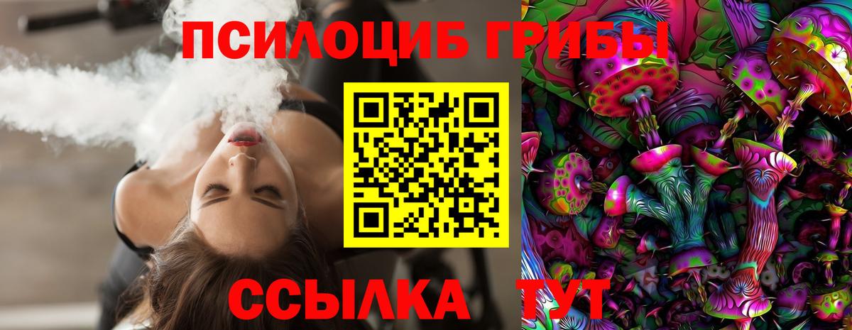 Псилоцибиновые грибы Cubensis  Галлюциногенные грибы прущие грибы  Моршанск 