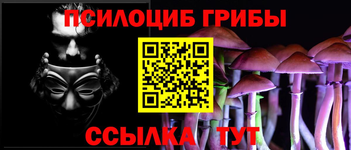 Псилоцибиновые грибы мухоморы Моршанск